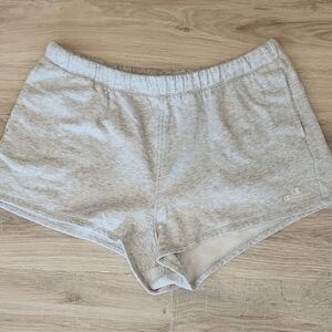 Champion Light Gray Casual Shorts